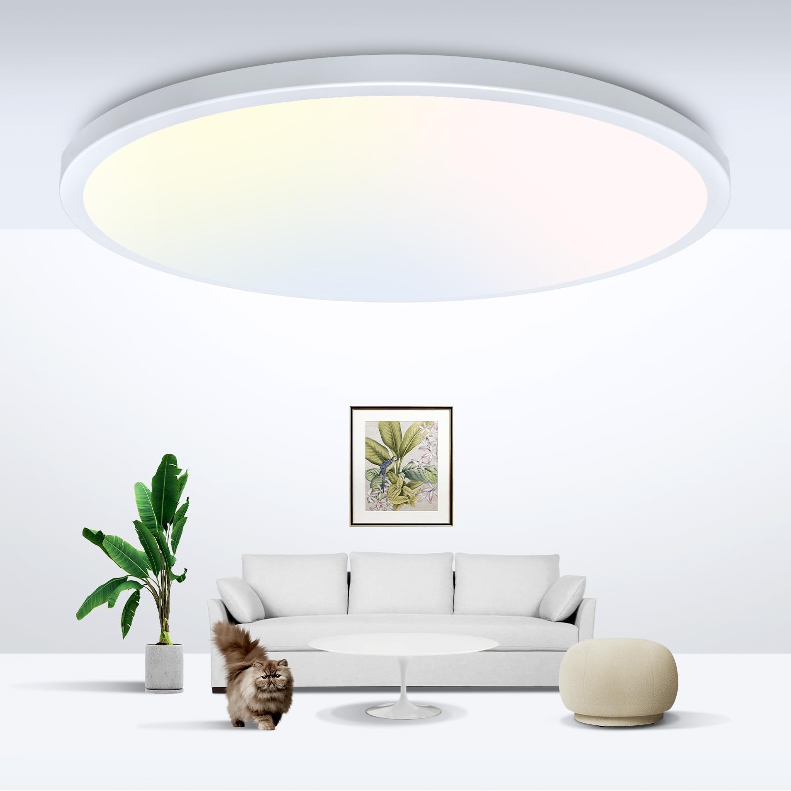 zemty 6-Pack 12-Inch LED Flush Mount Ceiling Lights, 24W 3200Lumens 5 CCT Adjustable (3000K-6500K), Round Flat Light Fixture for Bedroom Kitchen Bathroom Hallway (White)