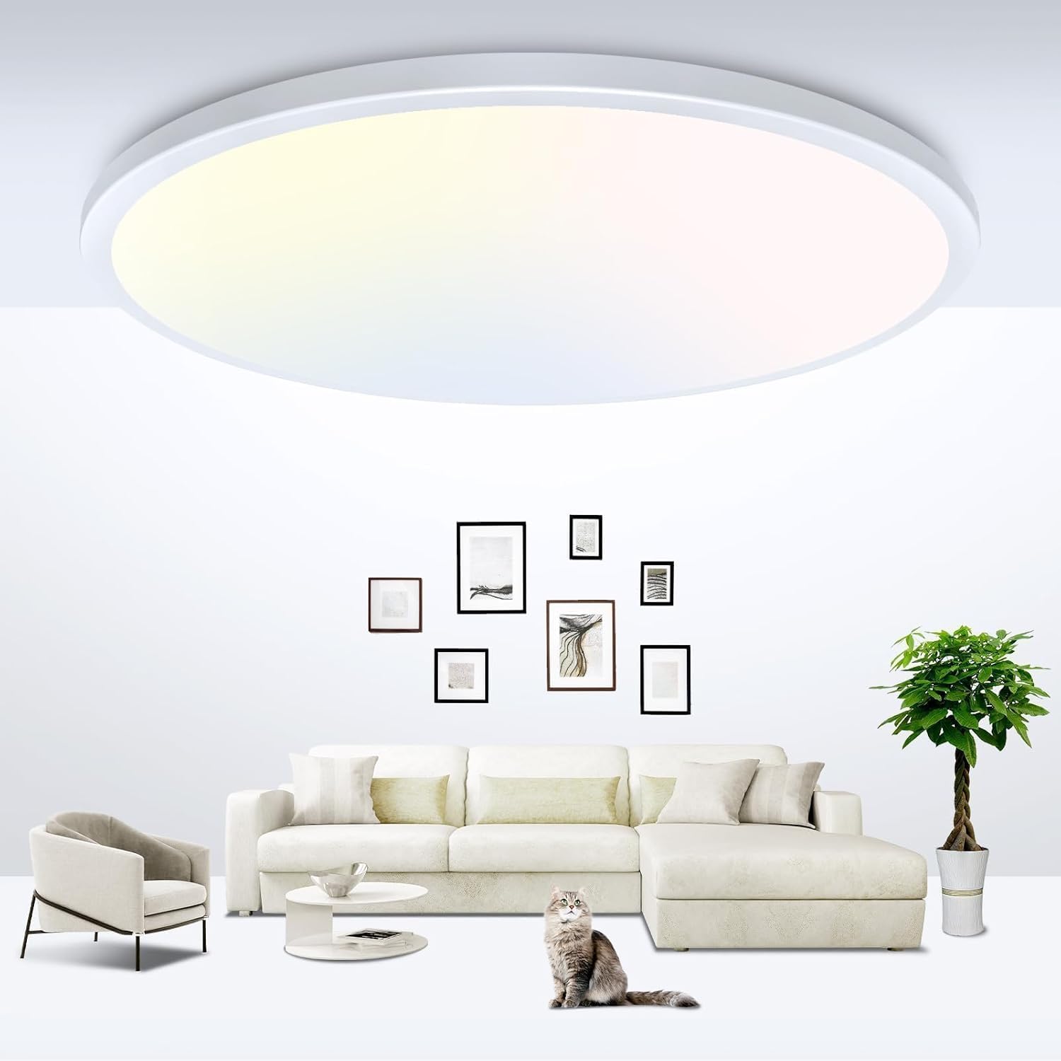 zemty 6-Pack 12-Inch LED Flush Mount Ceiling Lights, 24W 3200Lumens 5 CCT Adjustable (3000K-6500K), Round Flat Light Fixture for Bedroom Kitchen Bathroom Hallway (White)