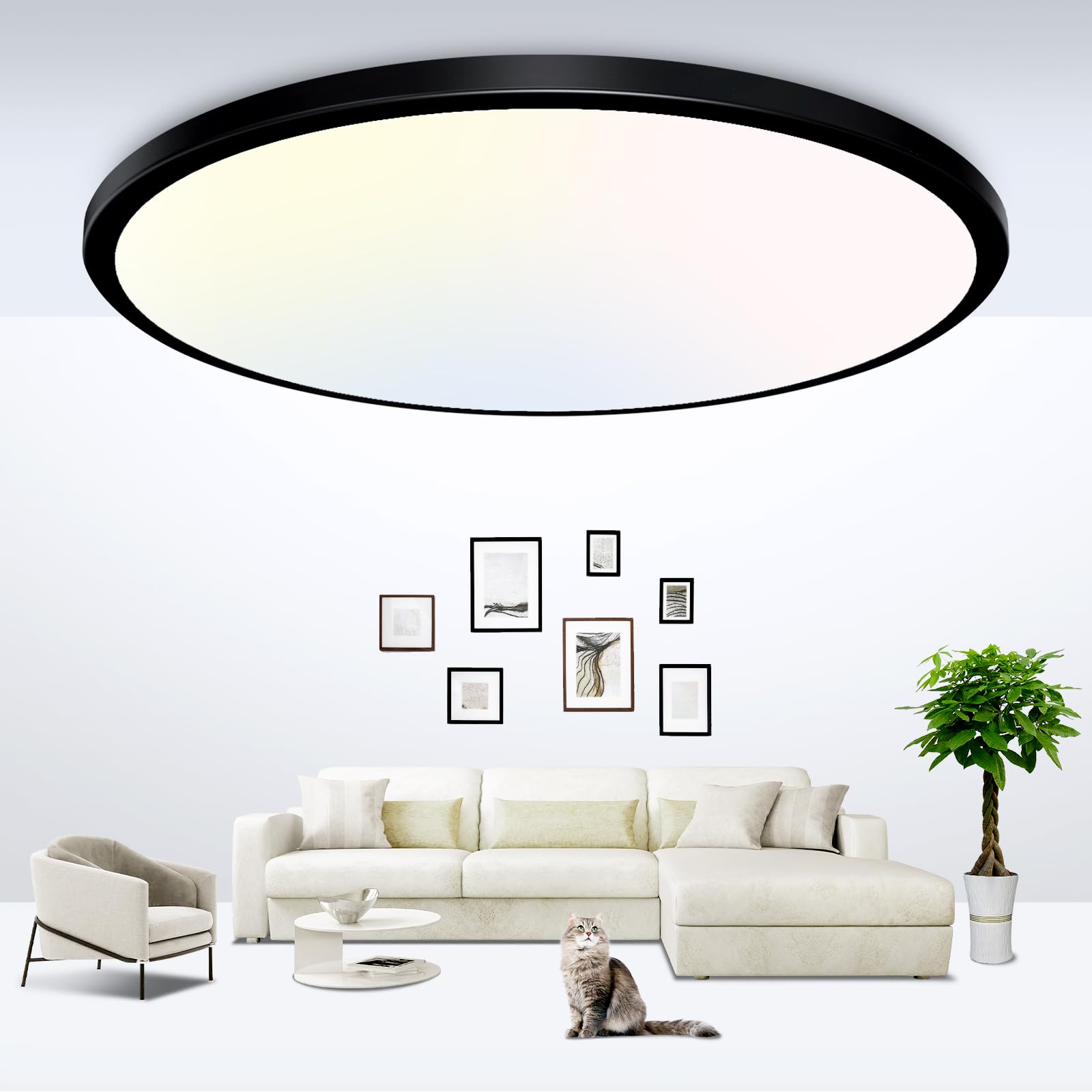 zemty 6-Pack 12-Inch LED Flush Mount Ceiling Lights, 24W 3200Lumens 5 CCT Adjustable (3000K-6500K), Round Flat Light Fixture for Bedroom Kitchen Bathroom Hallway (White)
