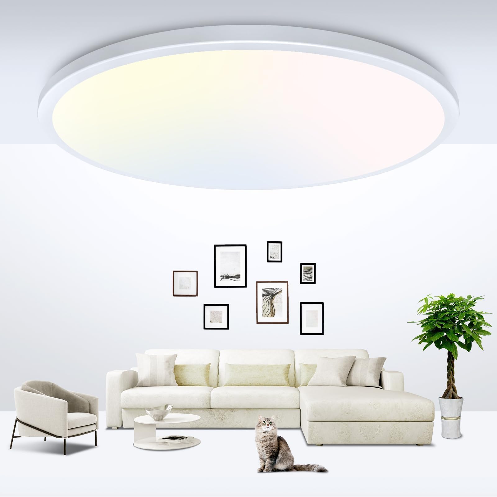 zemty 6-Pack 12-Inch LED Flush Mount Ceiling Lights, 24W 3200Lumens 5 CCT Adjustable (3000K-6500K), Round Flat Light Fixture for Bedroom Kitchen Bathroom Hallway (White)