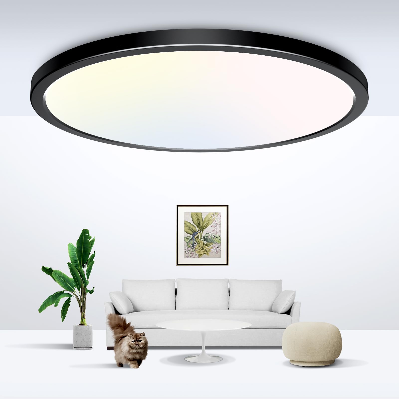 zemty 6-Pack 12-Inch LED Flush Mount Ceiling Lights, 24W 3200Lumens 5 CCT Adjustable (3000K-6500K), Round Flat Light Fixture for Bedroom Kitchen Bathroom Hallway (White)